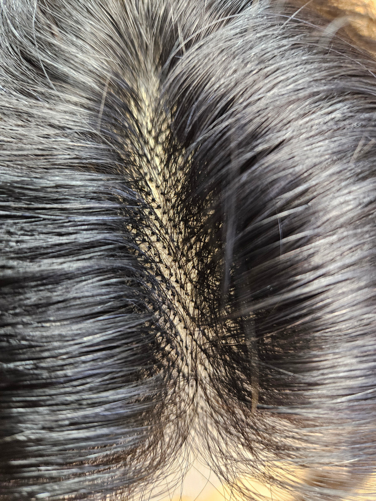 Jet Black Lace Closure