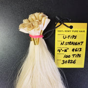 613 Platinum Blonde U-Tip Extensions